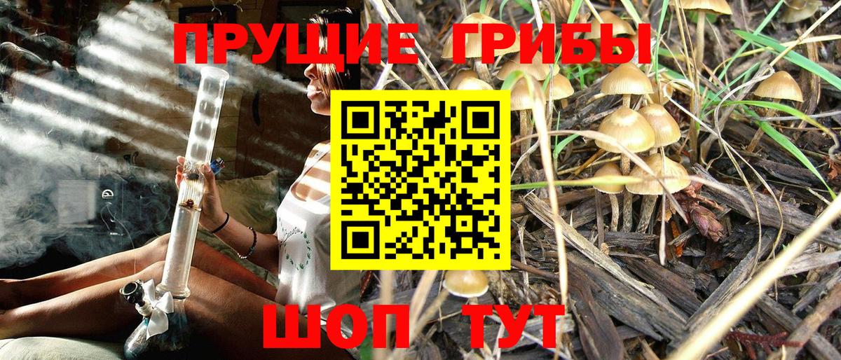 Воскресенск  Галлюциногенные грибы мицелий  Вход с VPN  купить наркоту  Псилоцибиновые грибы ЛСД 